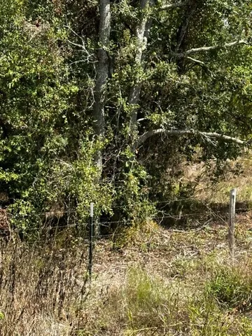 $249,000 | 9 County Road 240, Eagle Lake, TX 77434