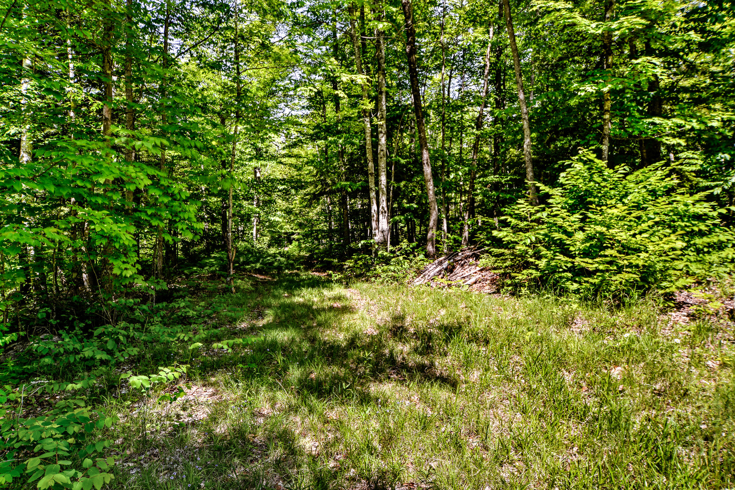 667 Belfast (rte 137) Road Freedom, ME 04941 - Photo 12 of 15 107718-12