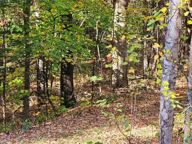 $175,000 | Lot 65 Church Street, Brownville, ME 04414