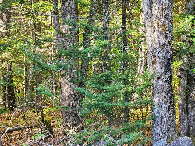 $175,000 | Lot 65 Church Street, Brownville, ME 04414