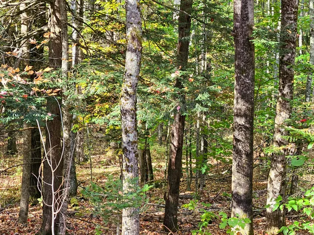 $175,000 | Lot 65 Church Street, Brownville, ME 04414