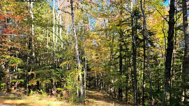 $175,000 | Lot 65 Church Street, Brownville, ME 04414