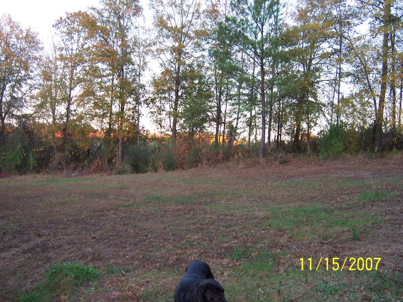 1682 Johnsey Bridge Road Jasper, AL 35503 - Photo 5 of 9 Gallery Image 5