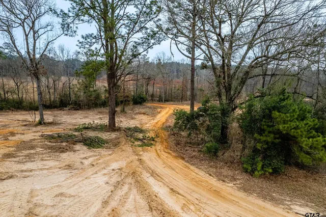 a view of a outdoor space with trees
