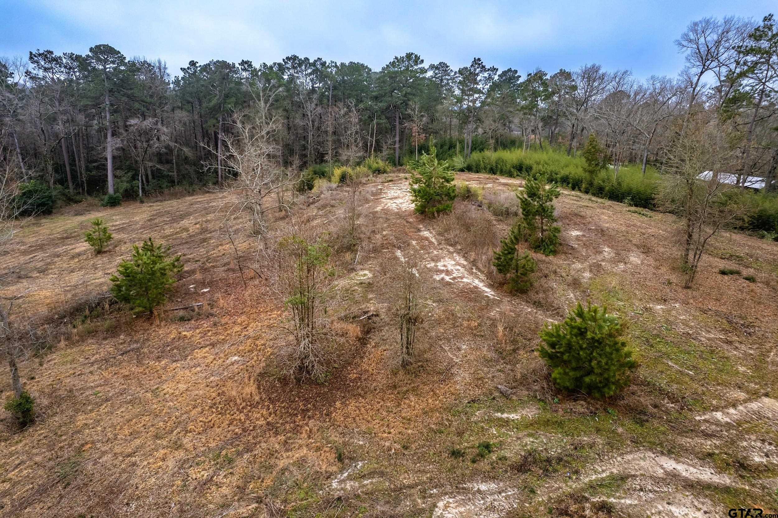 3481 Loop 343 Rusk, TX 75785 - Photo 17 of 48