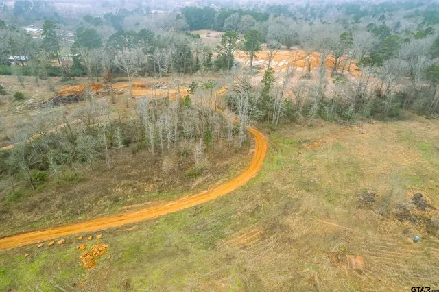 a view of a yard with trees