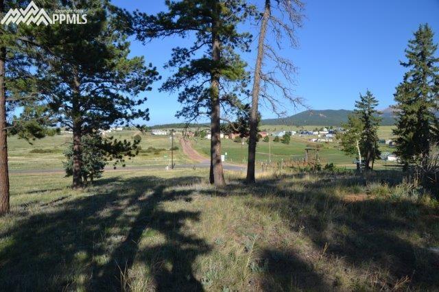 Tbd Tbd Robin Hood Rd Divide Divide, CO 80814 - Photo 32 of 33