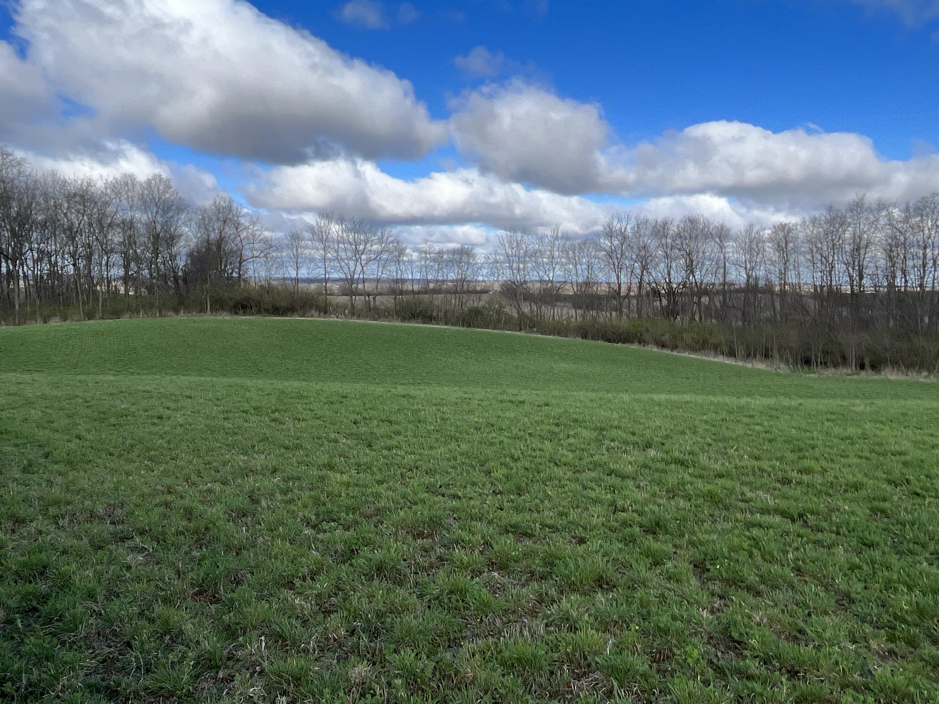 O Flatfoot Road Cable, OH 43009 - Photo 14 of 52