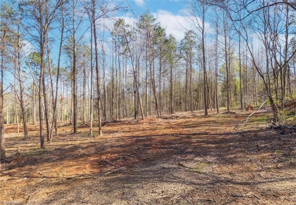 2633 Sprouse Road Boonville, NC 27011 - Photo 4 of 19