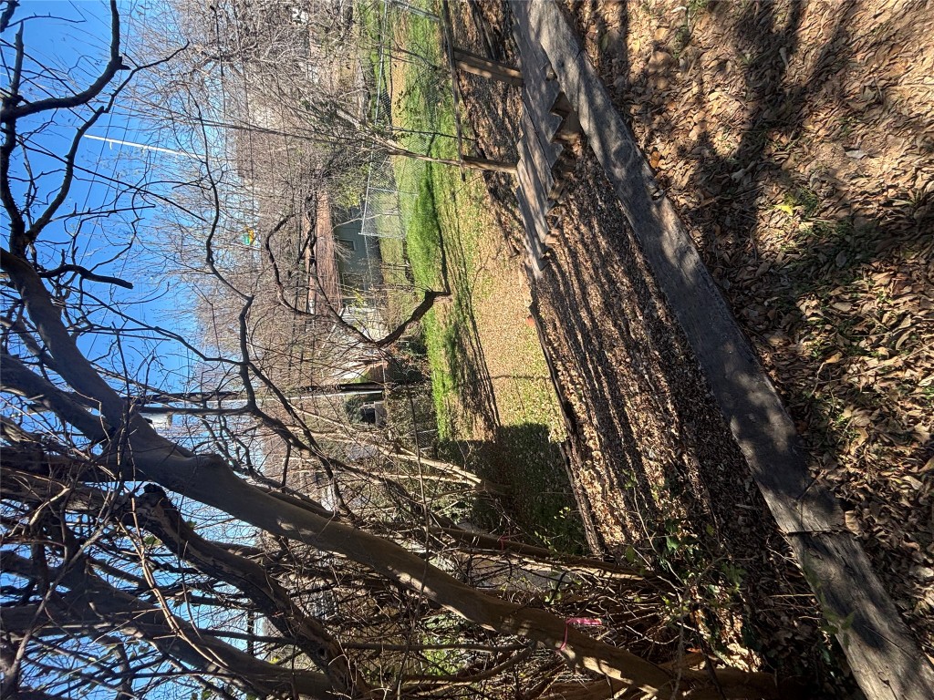 2324 Hartford Road Austin, TX 78703 - Photo 20 of 20 a view of a yard with a tree