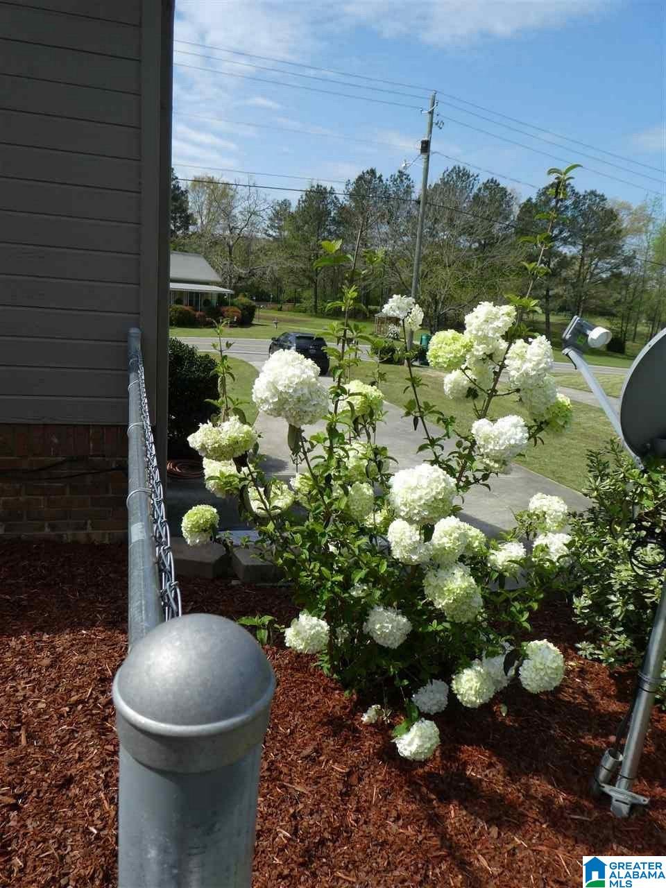 844 Glennwood Road Morris, AL 35116 - Photo 25 of 25