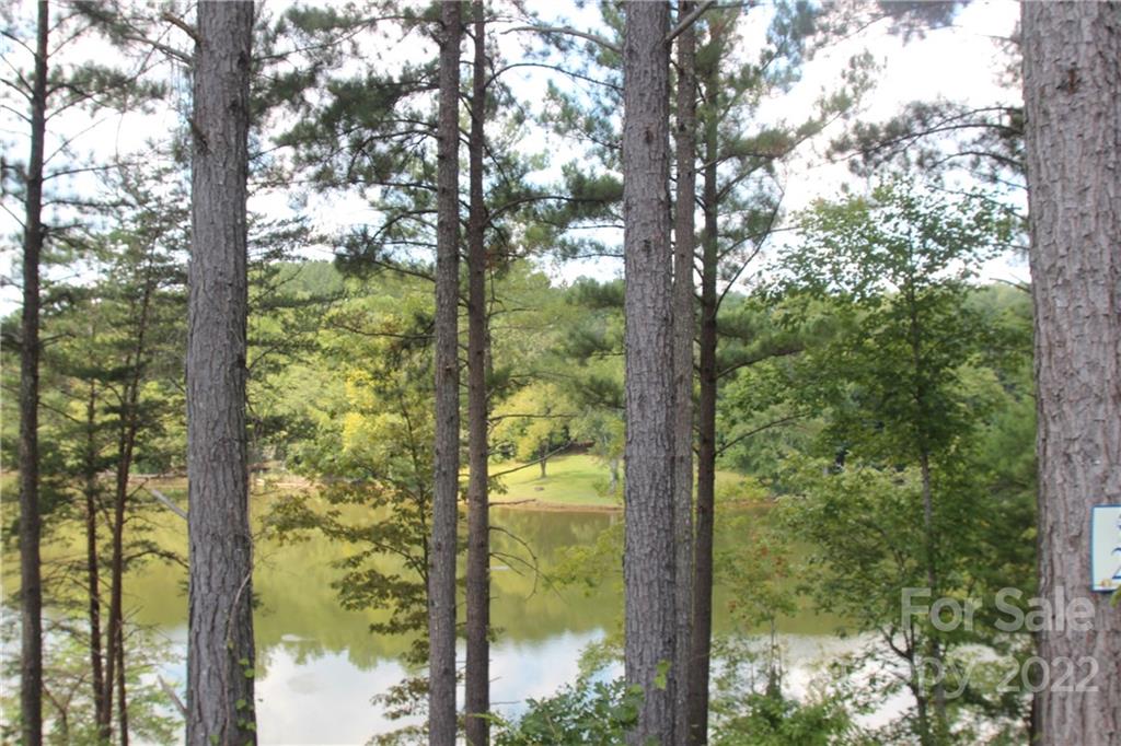 2048 Inlet Shore Road Northeast, Unit 25 Connelly Springs, NC 28612 - Photo 2 of 11 a view of a from a window