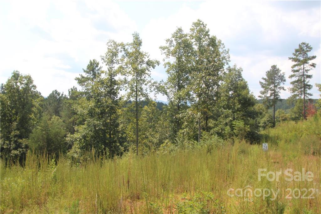 2048 Inlet Shore Road Northeast, Unit 25 Connelly Springs, NC 28612 - Photo 8 of 11