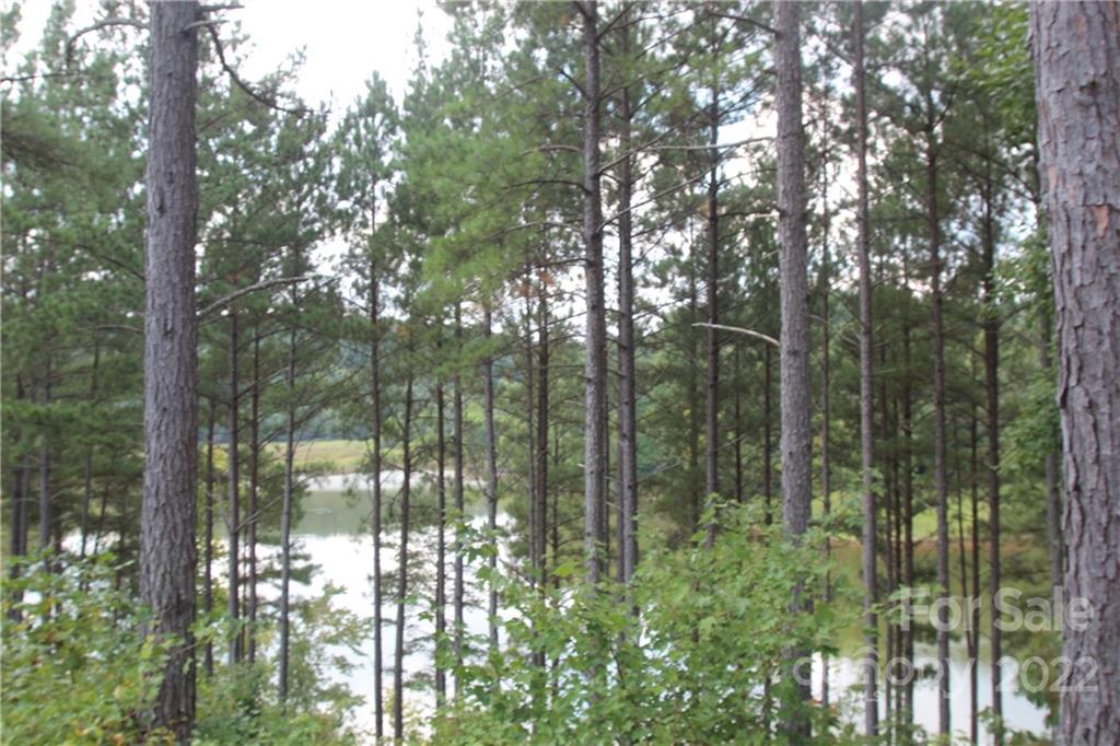 2048 Inlet Shore Road Northeast, Unit 25 Connelly Springs, NC 28612 - Photo 10 of 11 a view of outdoor space and trees