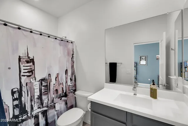 a bathroom with a sink mirror vanity and toilet