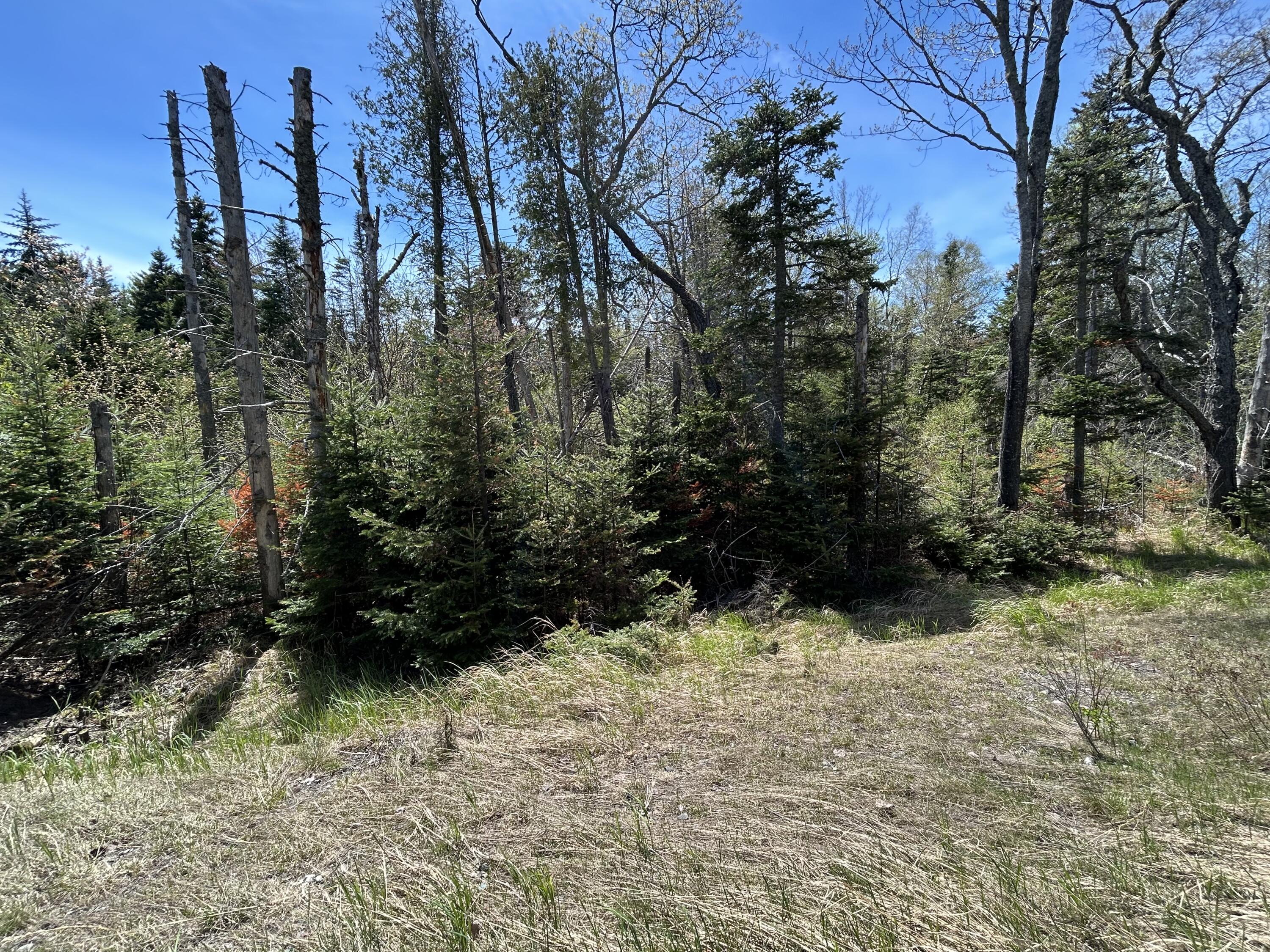 M17-l52-1 Stinchfield Road Sandy River Plt, ME 04970 - Photo 8 of 8 IMG_3423