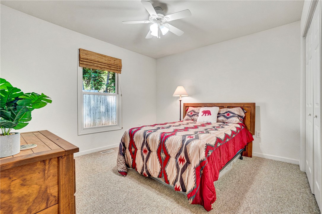 114 Summersweet Lane Seneca, SC 29672 - Photo 10 of 25 Plush carpeting and a large window facing natural greenery define this quiet sleeping space.