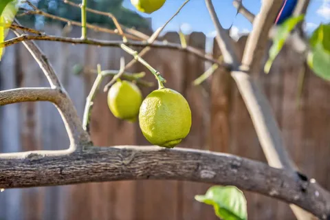 $580,000 | 1828 Larkin Way, Sacramento, CA 95818