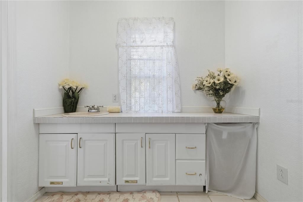 9151 Southwest 157th Lane Dunnellon, FL 34432 - Photo 14 of 63 a bathroom with a sink a potted plant and a window