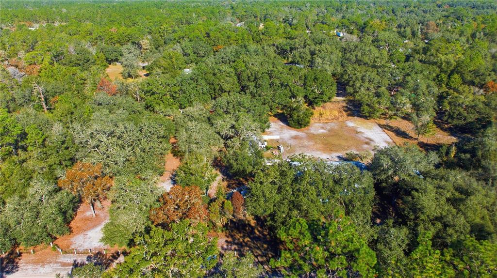 9151 Southwest 157th Lane Dunnellon, FL 34432 - Photo 51 of 63 a view of a forest with a tree
