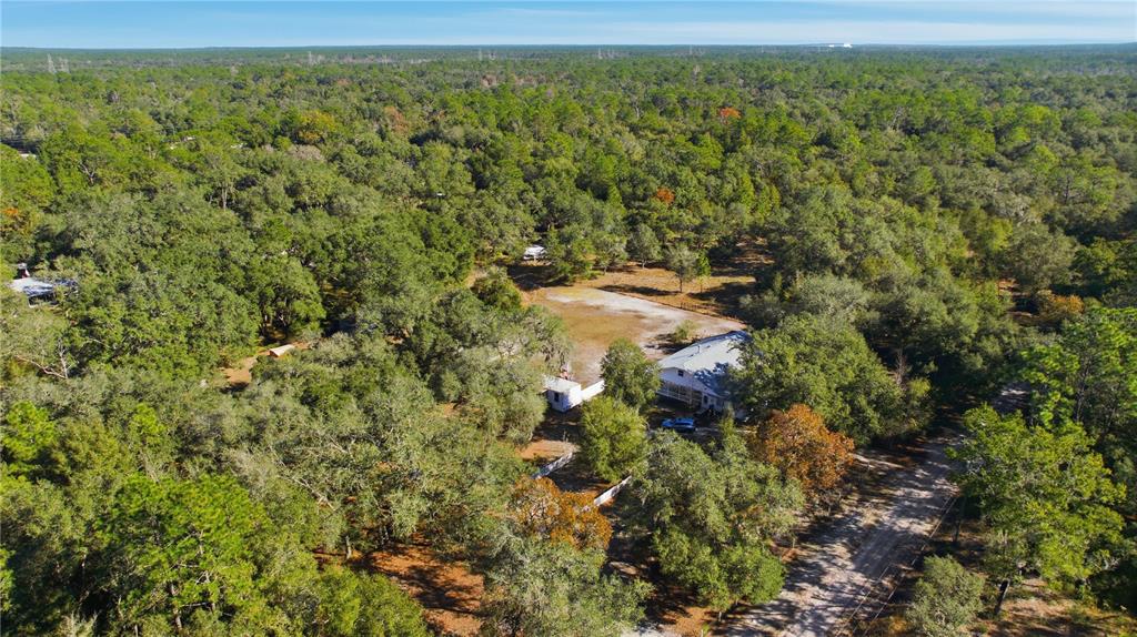 9151 Southwest 157th Lane Dunnellon, FL 34432 - Photo 55 of 63