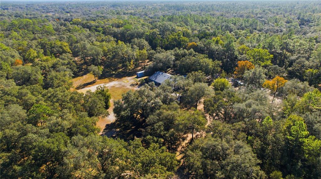 9151 Southwest 157th Lane Dunnellon, FL 34432 - Photo 57 of 63 an aerial view of residential house with trees all around