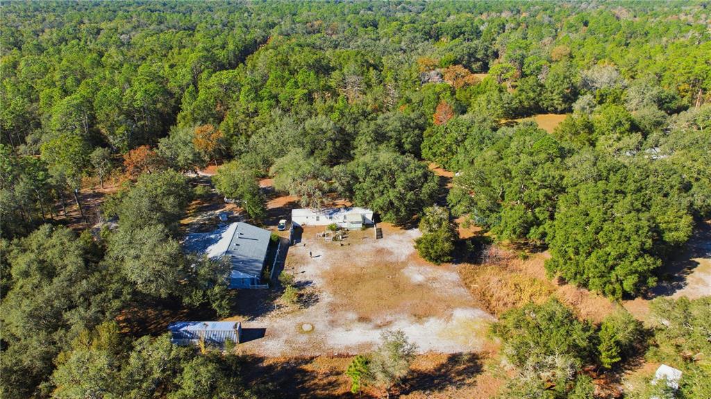 9151 Southwest 157th Lane Dunnellon, FL 34432 - Photo 61 of 63 a view of a yard with plants
