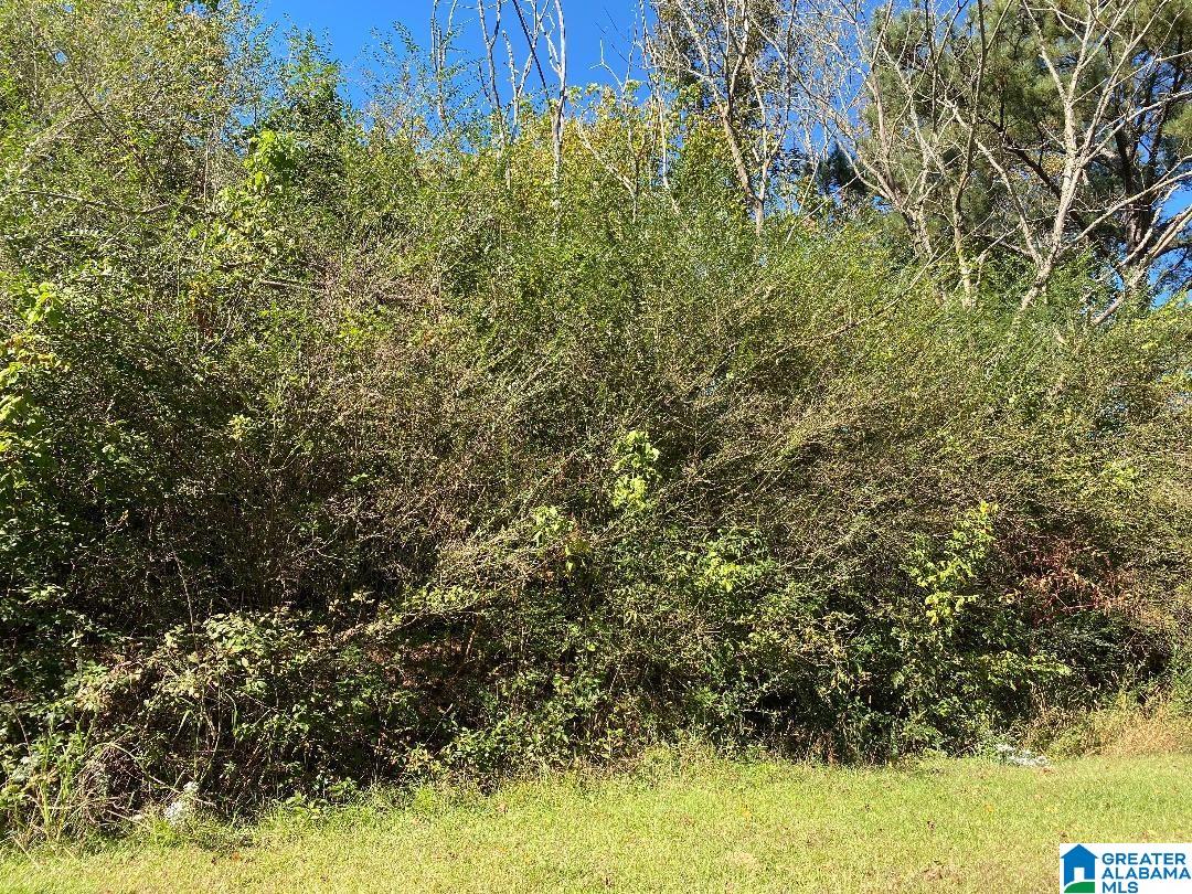 2803 Sweeney Hollow Road, Unit 1 Birmingham, AL 35215 - Photo 1 of 1