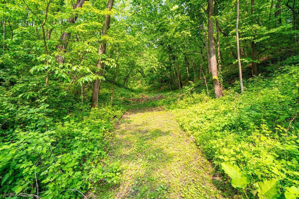 S1341 Deer Creek Road Nelson, WI 54756 - Photo 7 of 29