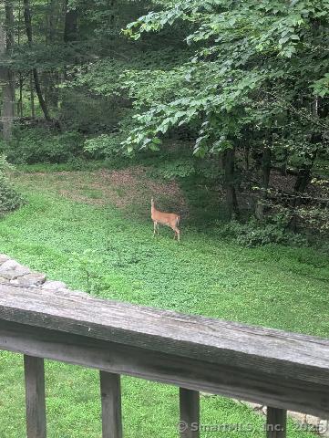 35 Sturbridge Road Easton, CT 06612 - Photo 7 of 23 a backyard of a house with a yard and outdoor seating