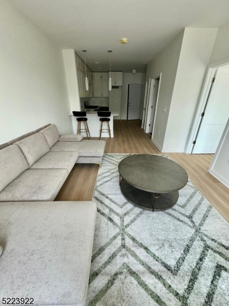 321 East 3rd Street, Unit 210 Plainfield, NJ 07060 - Photo 15 of 21 a living room with furniture and a wooden floor