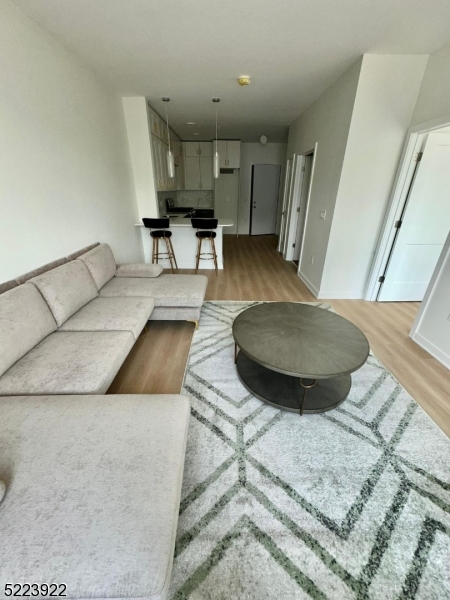 321 East 3rd Street, Unit 210 Plainfield, NJ 07060 - Photo 5 of 21 a living room with furniture and a wooden floor