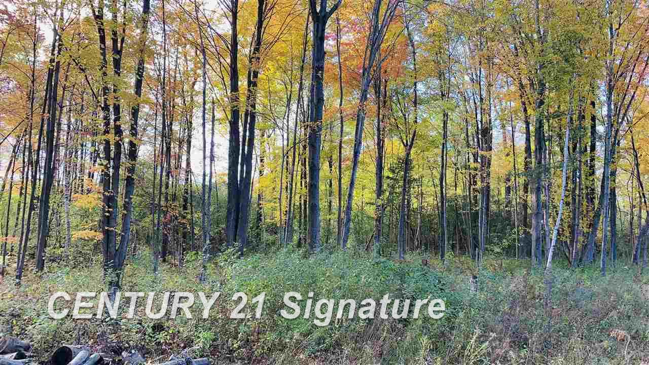 East Townline Road Bridgeport, MI 48722 - Photo 6 of 8
