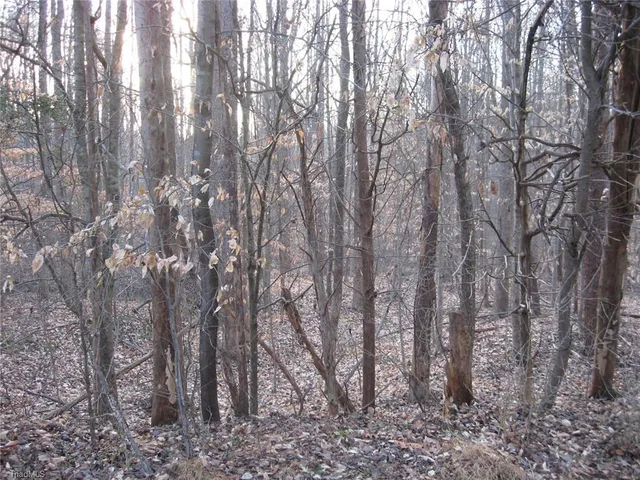 $75,000 | 2973 Creek Point Place, Haw River, NC 27258