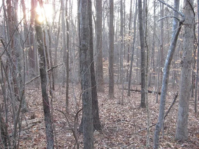 $75,000 | 2973 Creek Point Place, Haw River, NC 27258