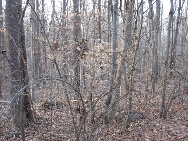 $75,000 | 2973 Creek Point Place, Haw River, NC 27258