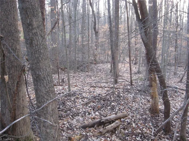 $75,000 | 2973 Creek Point Place, Haw River, NC 27258