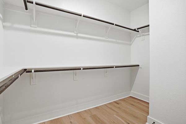 201 Prodigal Way Kyle, TX 78640 - Photo 14 of 22 Spacious walk-in closet featuring light wood-style flooring, white walls, and built-in shelving with hanging rods