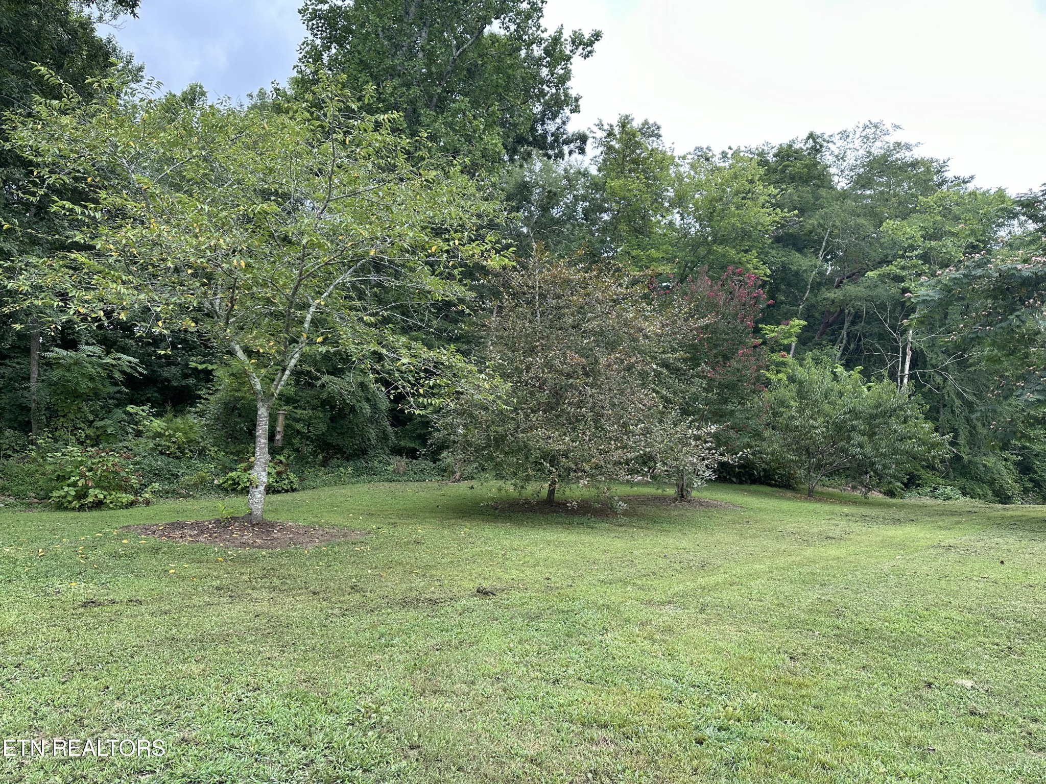 845 Rockfort Road Pikeville, TN 37367 - Photo 7 of 30 Gallery Image 7