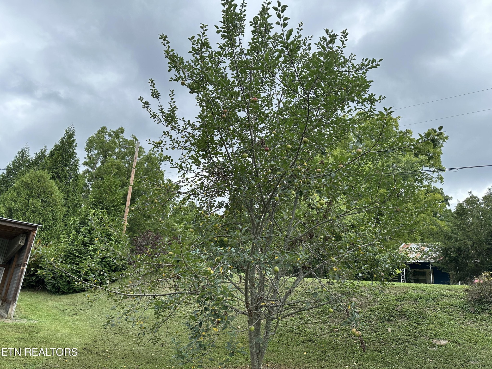 845 Rockfort Road Pikeville, TN 37367 - Photo 8 of 30 Gallery Image 8