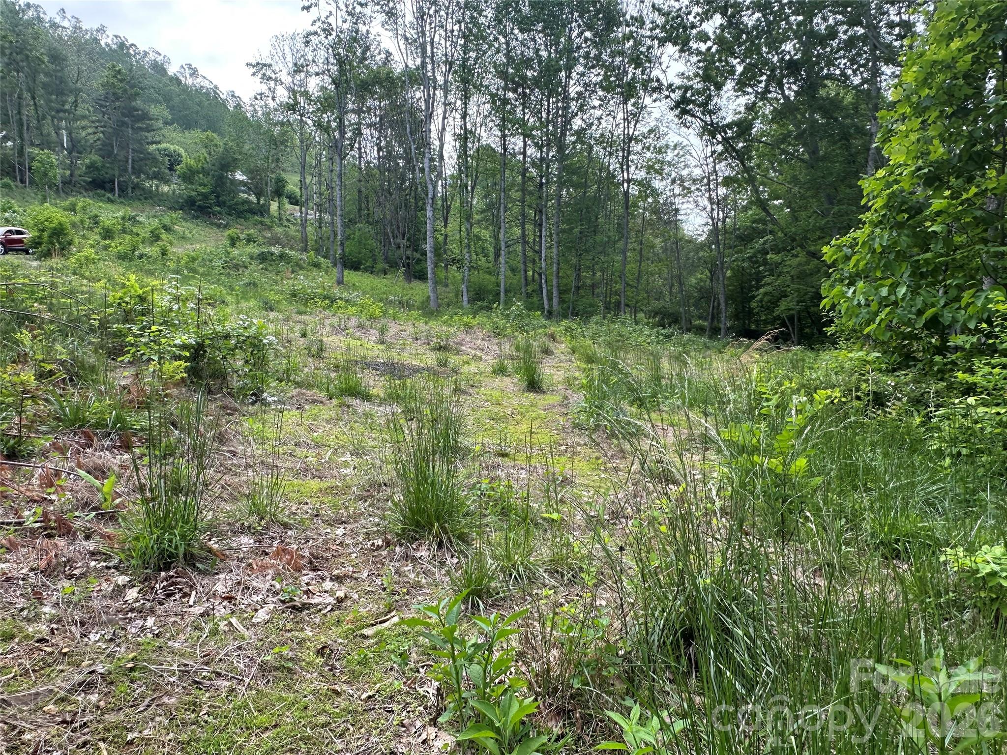 0 Pumpkin Patch Road Bakersville, NC 28705 - Photo 15 of 42