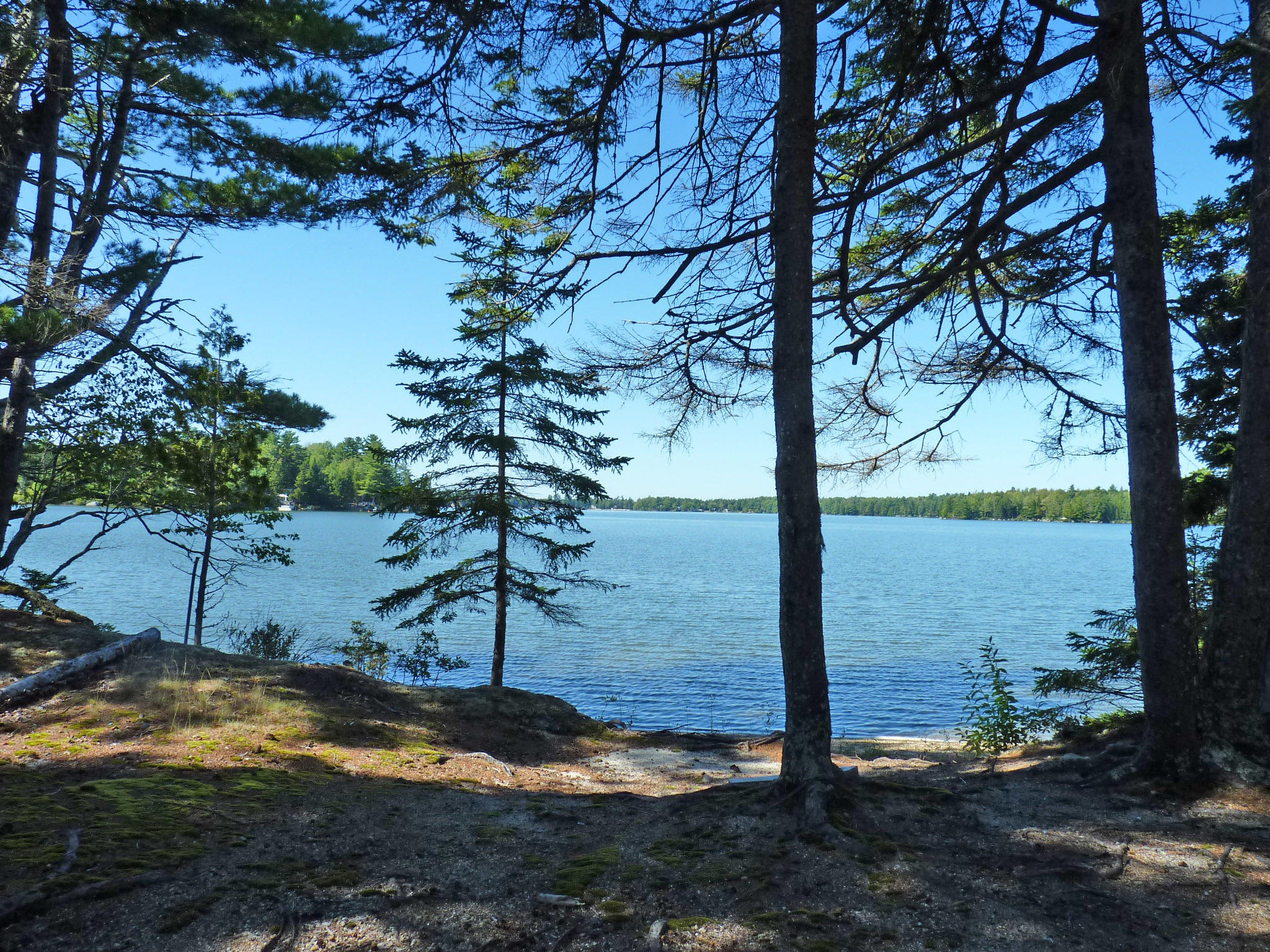 0 Bunker's Beach Road Franklin, ME 04634 - Photo 3 of 12 1c