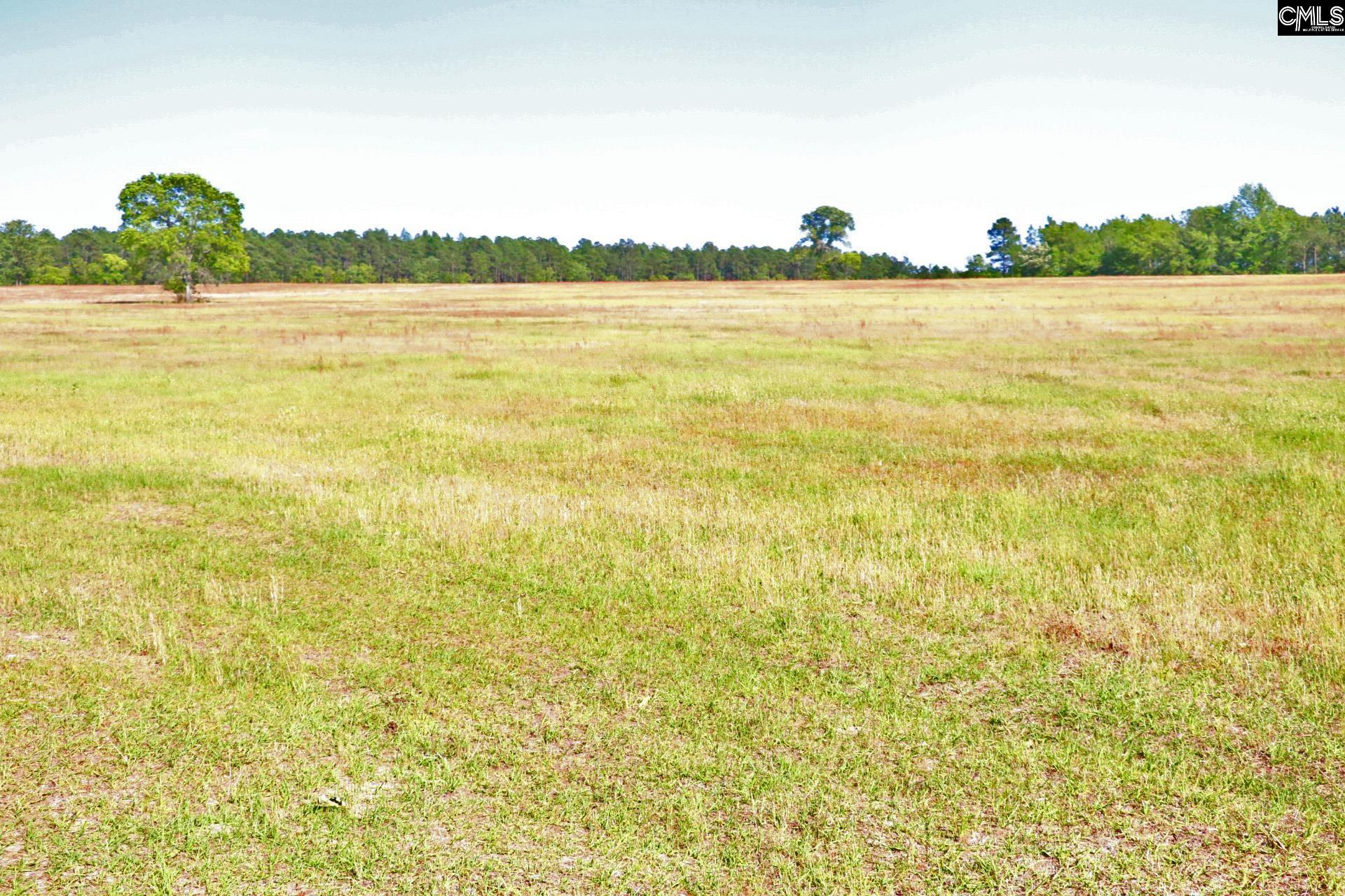 Tbd Browns Pond Road Wagener, SC 29164 - Photo 9 of 48