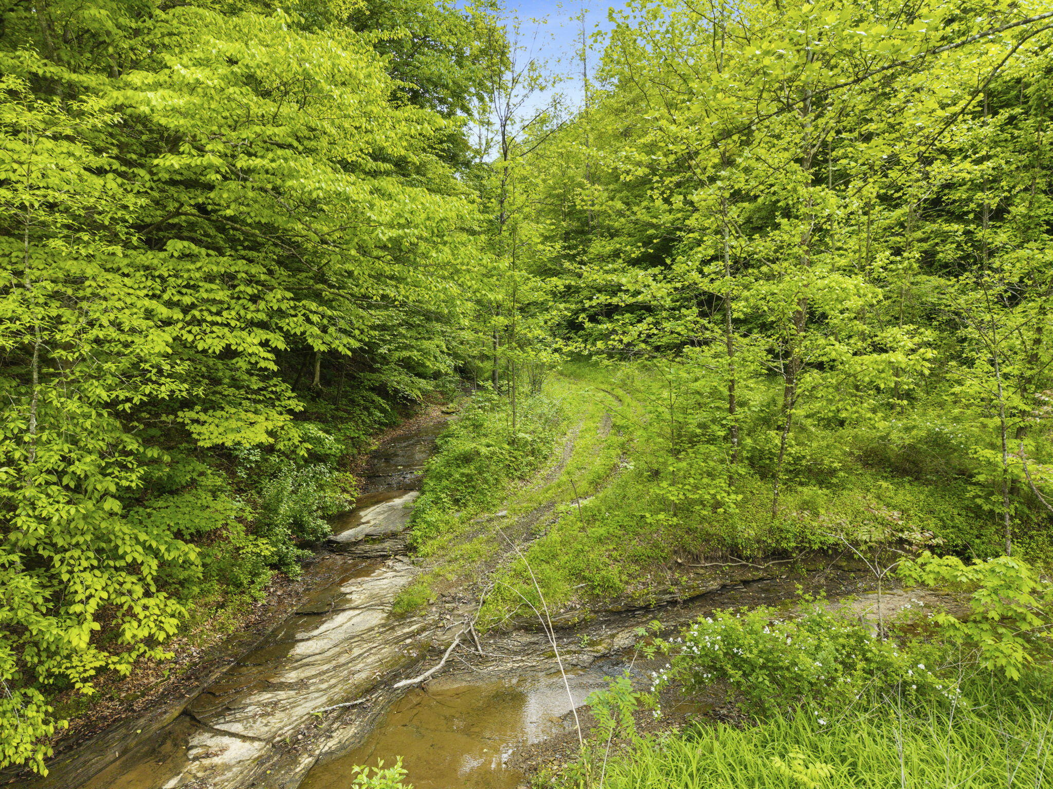 0 Jetts Creek Road Jackson, KY 41339 - Photo 25 of 31 25-web-or-mls-DJI_20260505153636_0067_D