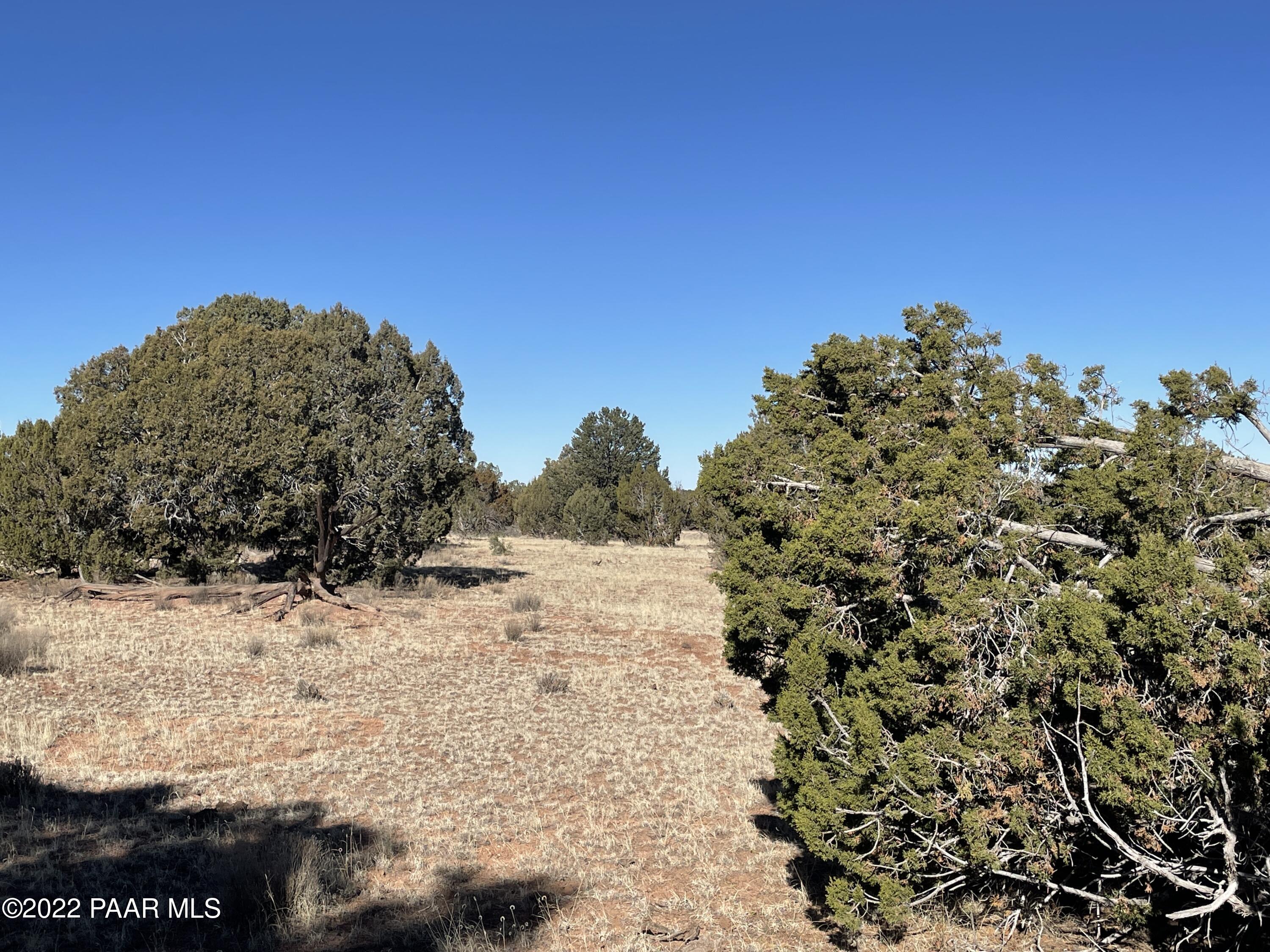C Stewart Road Seligman, AZ 86337 - Photo 1 of 15 301-31-420C (4)