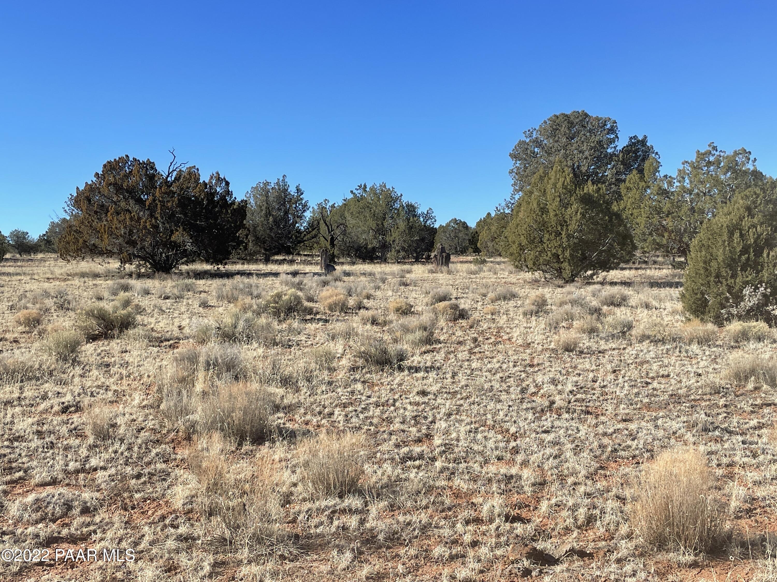 C Stewart Road Seligman, AZ 86337 - Photo 14 of 15 301-31-420C (6)