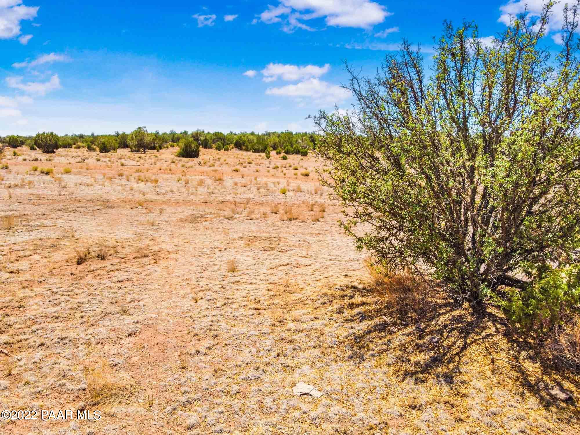 C Stewart Road Seligman, AZ 86337 - Photo 6 of 15 24