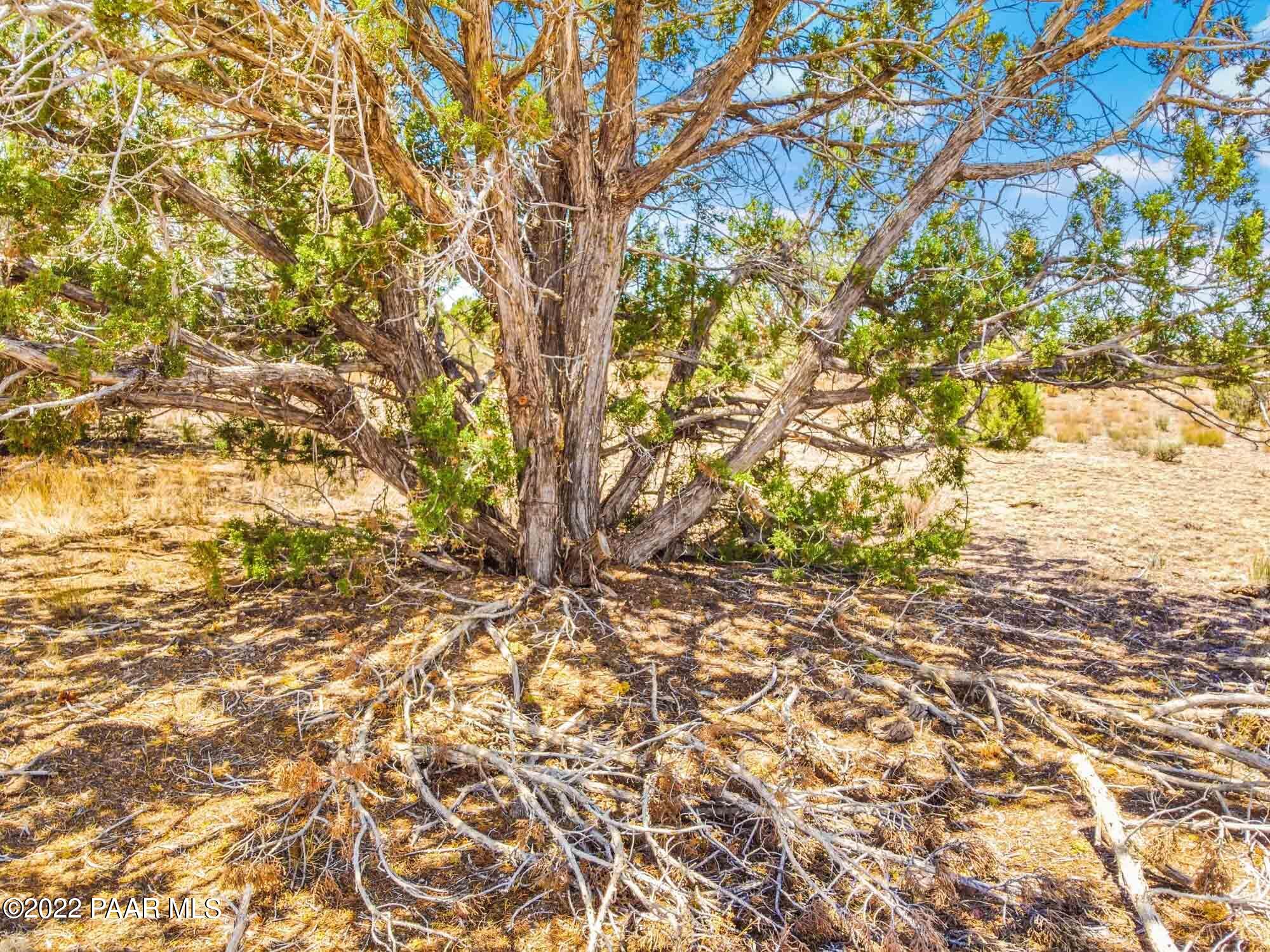C Stewart Road Seligman, AZ 86337 - Photo 9 of 15 31