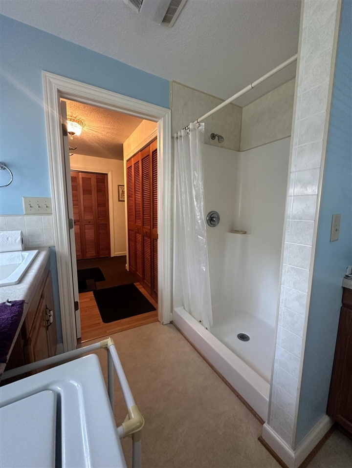 347 Plank Road Hudson, MI 49247 - Photo 10 of 13