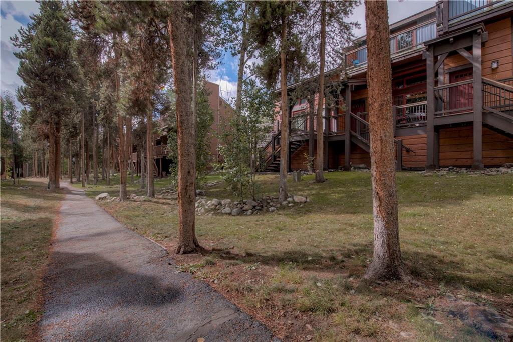 200 Primrose Path, Unit 11 Breckenridge, CO 80424 - Photo 2 of 28